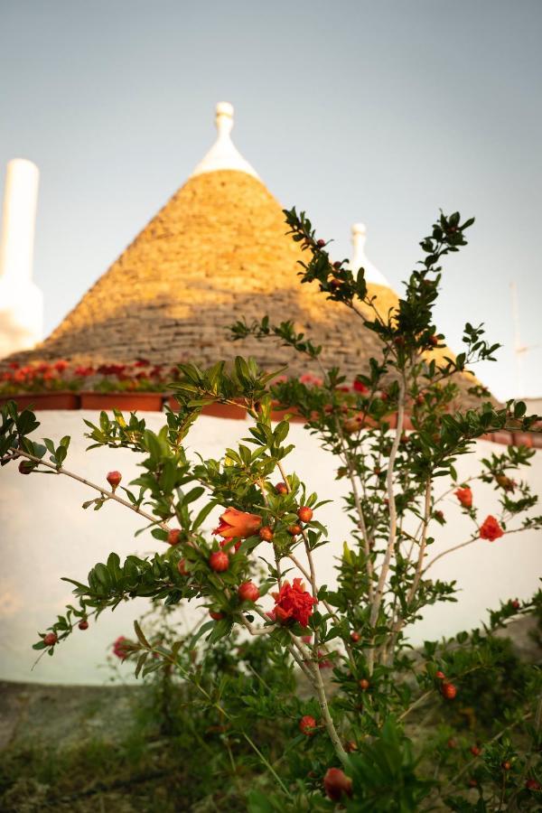 Villa Trulli Ulivi Putignano Exterior foto